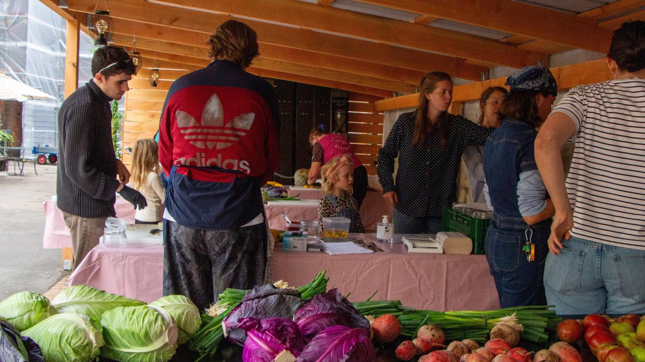 Fermentering workshop i Multiskuret