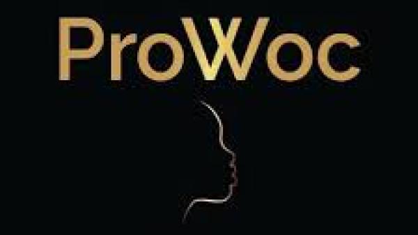 Professional Women of Colour